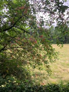 La Parenthèse gîte à la campagne