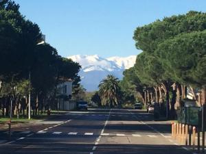Au calme entre les pins a 300m de la plage