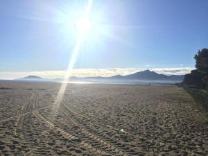 Au calme entre les pins a 300m de la plage