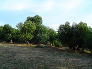 Fermes La Magnanerie du Serre : Chambre Double - Vue sur Montagne