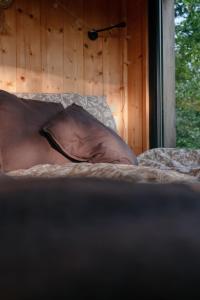 Maisons de vacances Homnest Morvand'Ailes - Cocon immersif en Morvan : photos des chambres