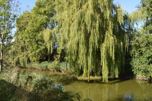 Ferienwohnung Kajüte