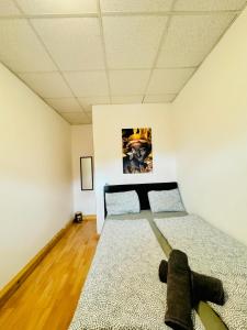 Simple Two Private Rooms with Shared Living Area in Vienna