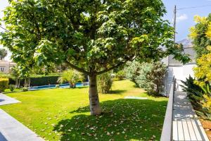 Ibis Lodge With Swimming Pool