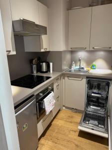 Chamonix city center rue Paccard