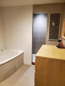 Maisons de vacances Artist-s house for rent : photos des chambres