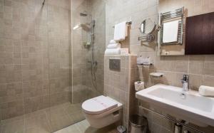 Standard Double or Twin Room room in Hotel Helada