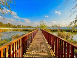 Modern 1BR Near OR Tambo, Wi-Fi, Secure Parking