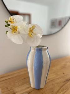 Apartamento Santander