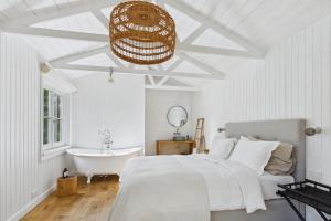 Ragnar Glamp Kuldiga Forest