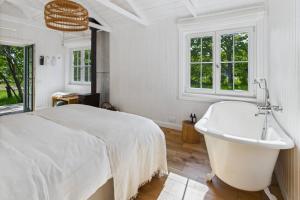 Ragnar Glamp Kuldiga Forest