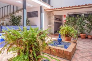 Apartamento Aires de Triana riverside