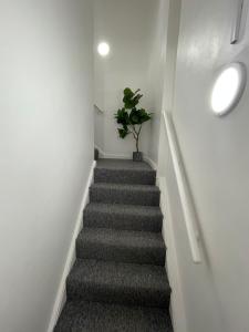 One Bedroom Flat B in Kentish Town