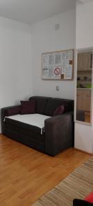 Apartments Dusica Tekija - Djerdap National Park