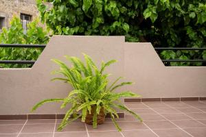 Petros & Eirini Home