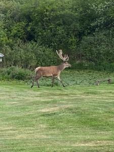 Alt det bedste mellem hav og fjord - en hel bolig