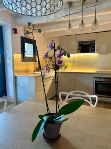 Maisons de vacances Small house in Provence : photos des chambres