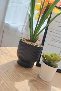 Appartements Le Clos Carnot 3 - Proche Commodites : photos des chambres