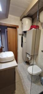 Bouganville img13