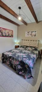 Bouganville img14