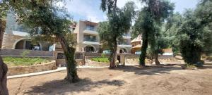 Filoxenia Olive Garden luxury villas and suites