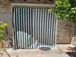 Bouganville img17
