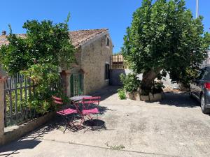 Bouganville img18
