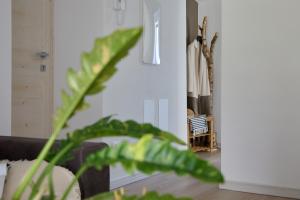 Mandola - Calceranica al Lago