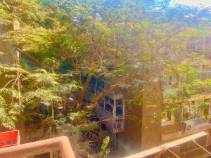 Amazing Apartment Perfect for Work or Leisure in Degla Maadi