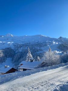 Appartement de luxe 6 personnes 3 chambres Méribel Mottaret location du samedi au samedi