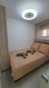 Apartament PREMIUM