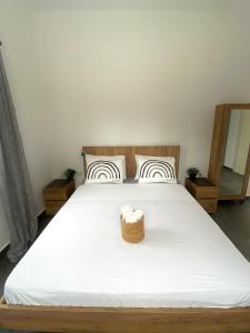 Central Parikia Stay