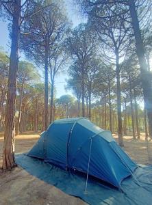 Basecamping Pula img25