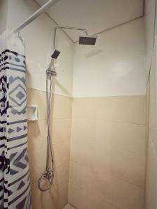 Paeans Pods at Bloom