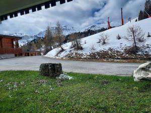 Charmant appartement avec terrasse à La Plagne, accès rapide aux pistes - FR-1-351-224