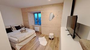 Maisons de vacances Gite du B-ffroy - Besse et St Ansataise : photos des chambres