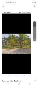 Cantinho do lazer boraceia