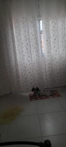 Cantinho do lazer boraceia