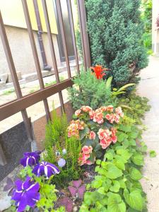 Apartment Compass- Super Center Burgas