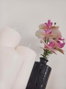 Appartements Le Clos Carnot 5 - Proche Commodites : Appartement 1 Chambre