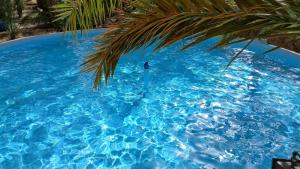 VIP Coco Oasis Villa