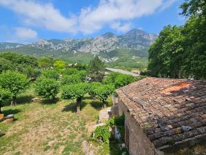 Appartements Les muriers de Rose : photos des chambres