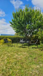 Maisons de vacances Grande maison billard et confort a Guingamp : Maison de Vacances