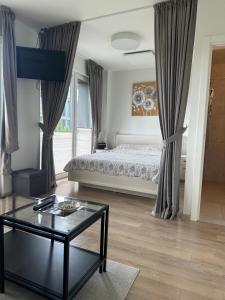 Family Studio VAIVORYKSTE