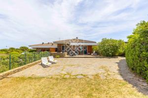 Turtle House img37