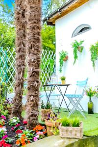 Rapallo - Terrazzo - Close to the sea - AC