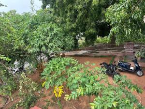 Woodside Haven Luxury GF