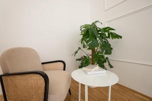 Posh 107 m2 3BR flat in the city center of Vienna