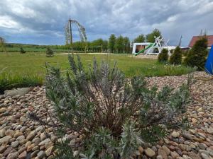 Domek Maryja z prywatnym duzym jacuzzi i sauna Przystan pod niebem