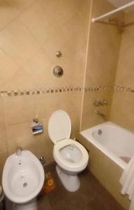 Bariloche Vista Lake 2